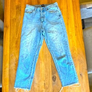 BDG (Urban Outfitters) Slim Straight Denim Jeans